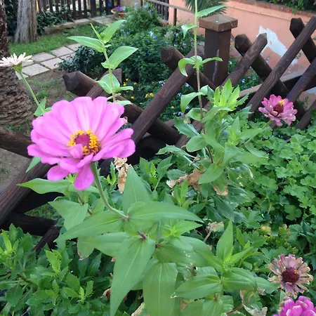 B&B Villa Di Giorgi-3